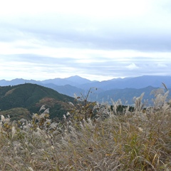秋の高尾山（景信山）