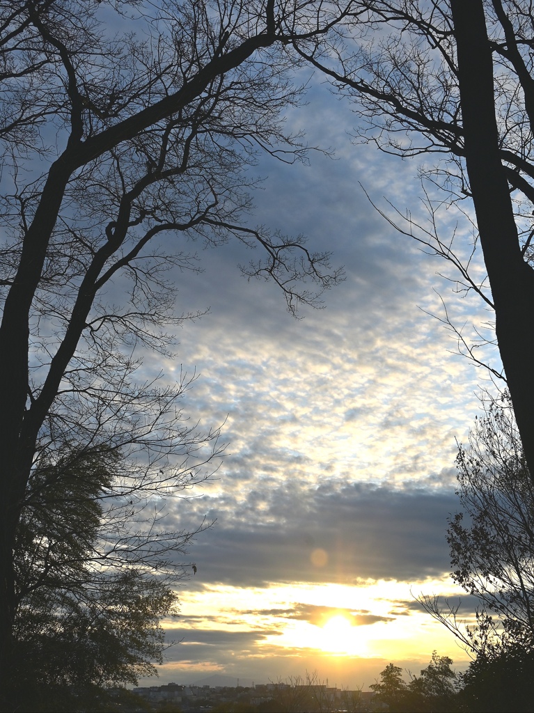 散歩帰りの夕暮れ。