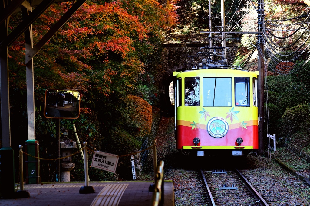 高尾登山鉄道「もみじ号」。