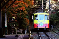 高尾登山鉄道「もみじ号」。