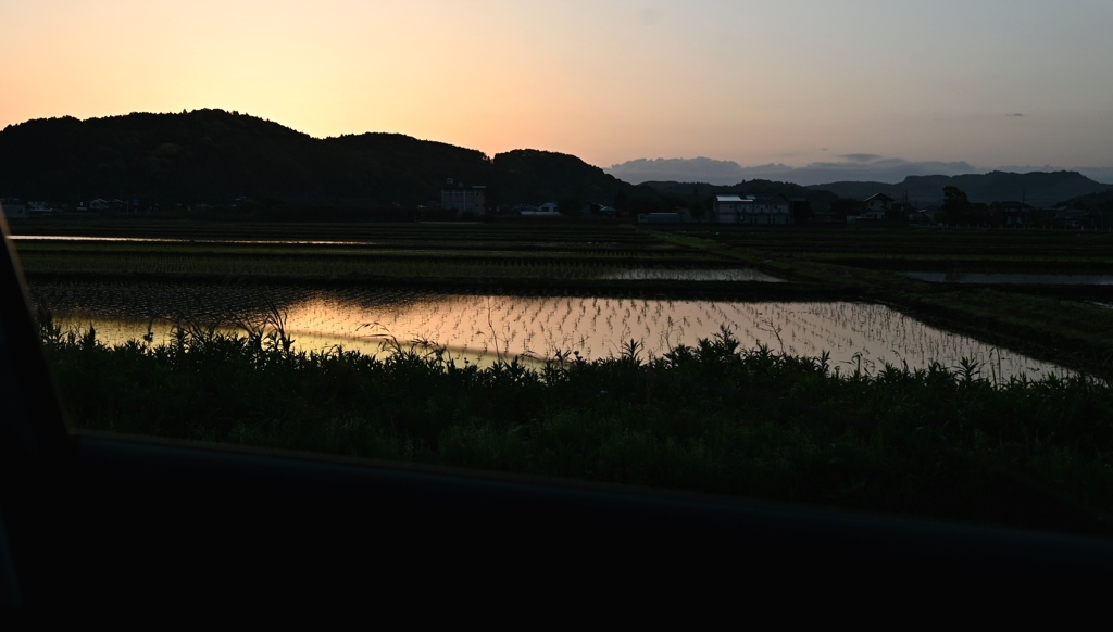 黎明。③