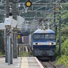 根府川駅を通過する貨物列車。