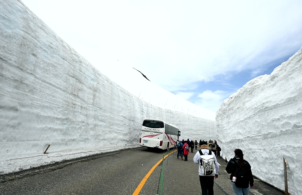 立山黒部アルペンルート　雪の大谷。