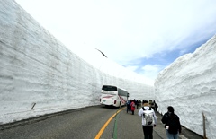 立山黒部アルペンルート　雪の大谷。