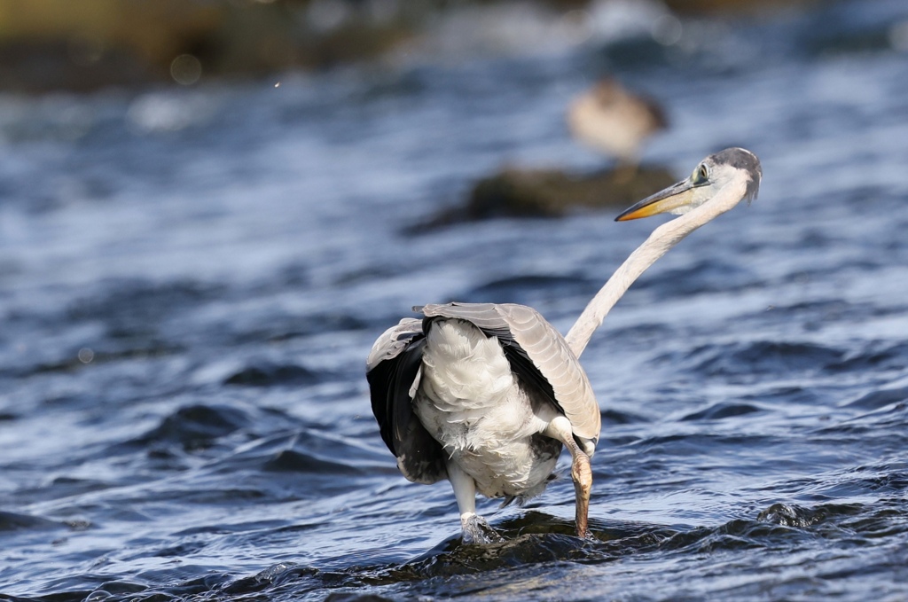 狙いを定めて…