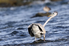 狙いを定めて…