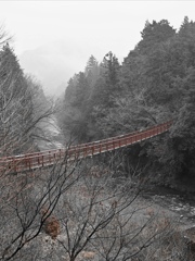 雨の渓谷。