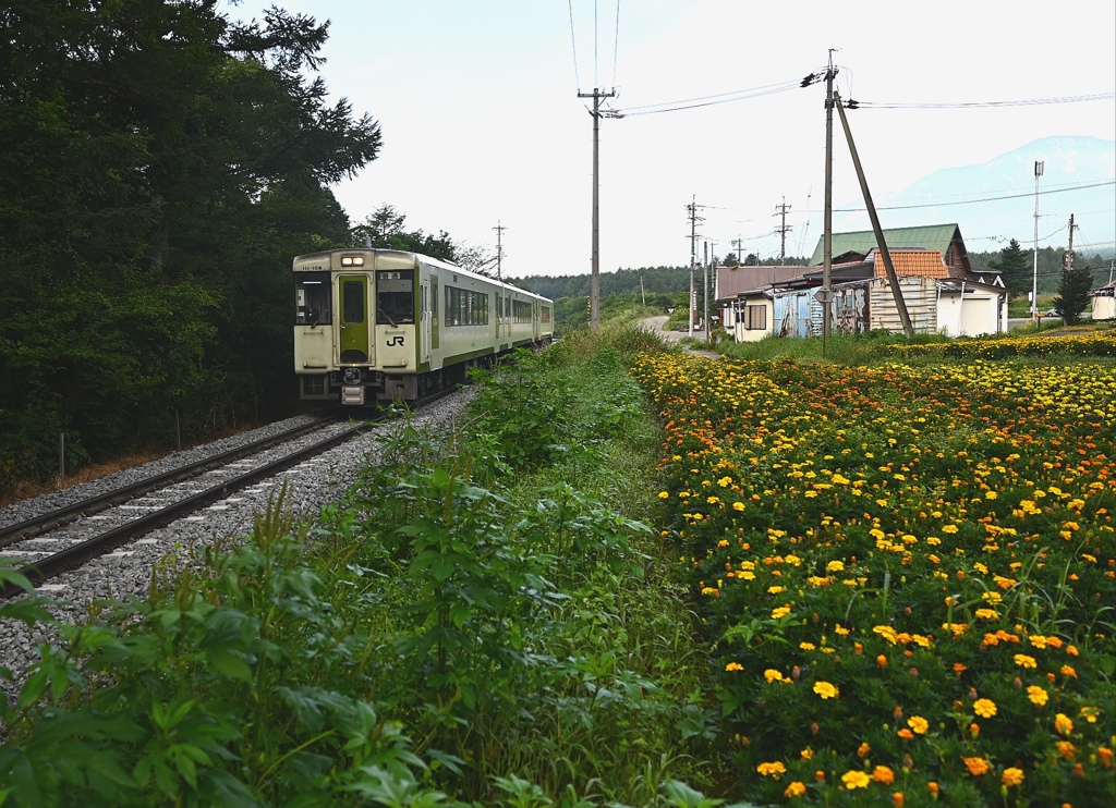 小海線。野辺山駅付近。