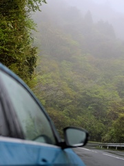 霧雨の朝の箱根山。