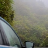 霧雨の朝の箱根山。