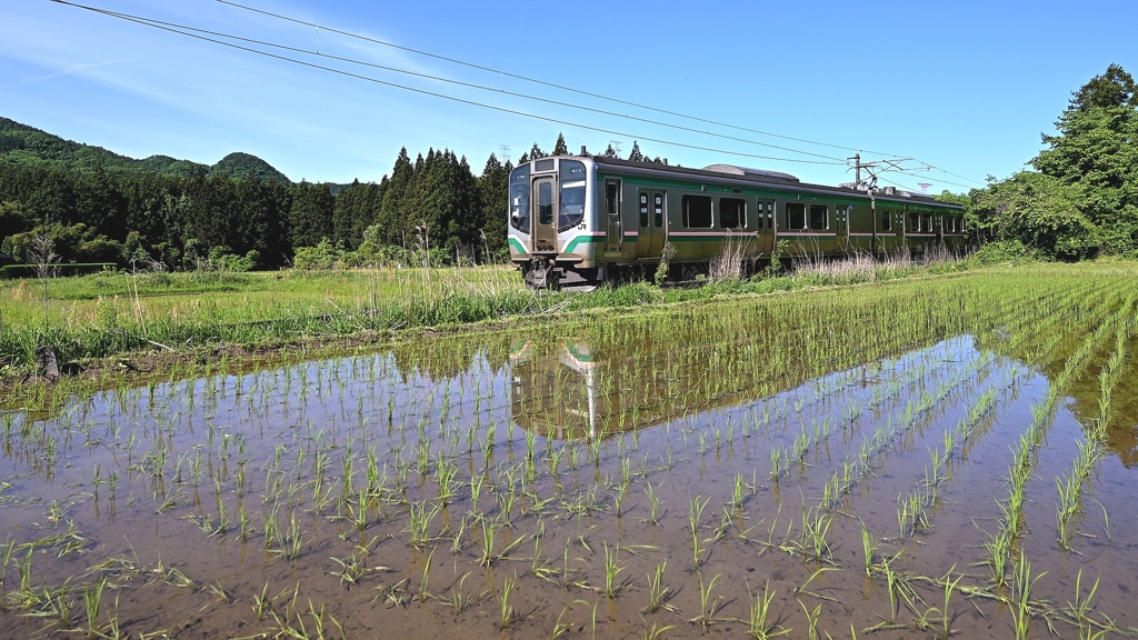 早苗田（さなえだ）と仙山線。