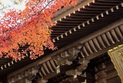 高尾山薬王院山門。