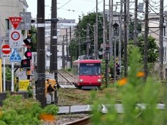 住宅街を走行する世田谷線。