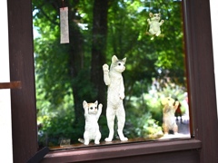 森のカフェ。