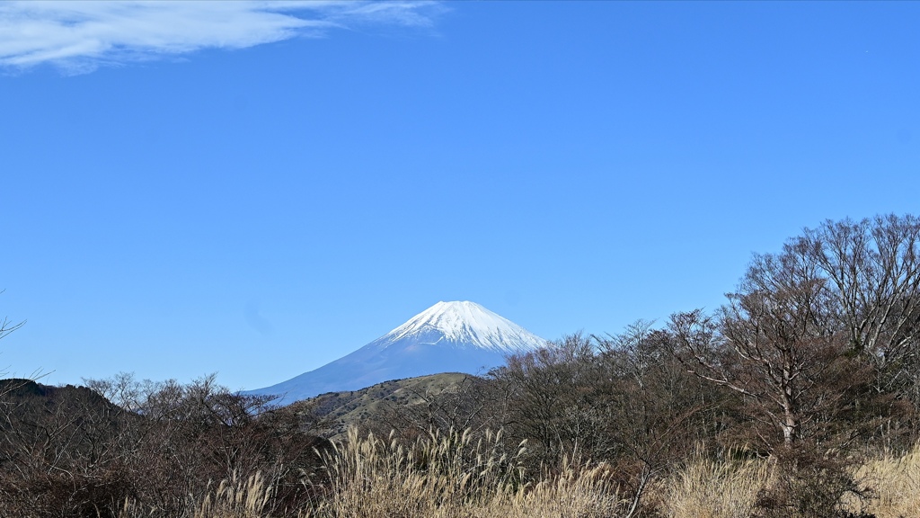 12月の富士。