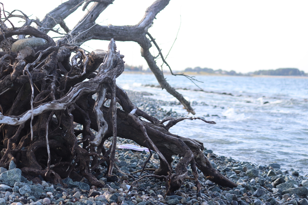 71502467-CC81-48AF-9A8E-7ADDE9145236