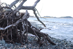 71502467-CC81-48AF-9A8E-7ADDE9145236