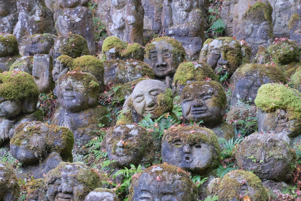 お眠り坊主
