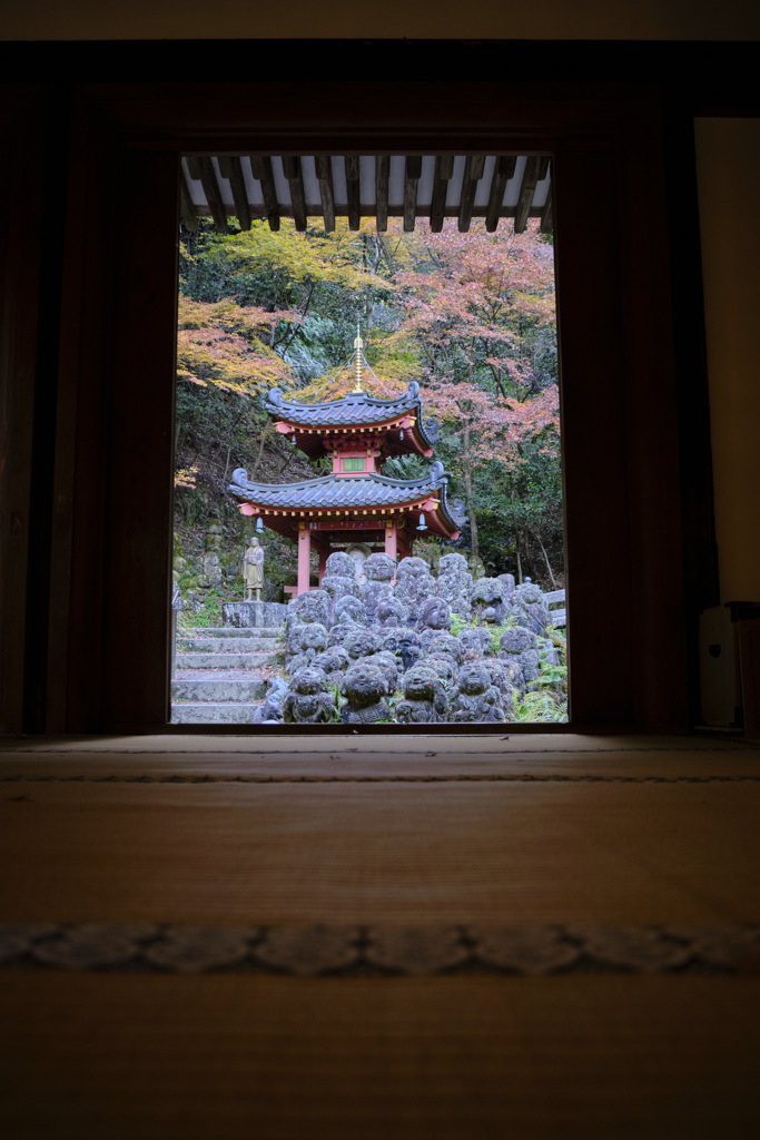 畳の向こうに観える景色