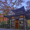 愛宕念仏寺の紅葉