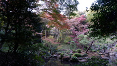 殿ヶ谷戸庭園