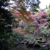 殿ヶ谷戸庭園