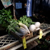 野菜直売所