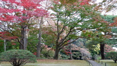 殿ヶ谷戸庭園