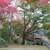 殿ヶ谷戸庭園