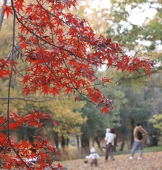 公園散歩
