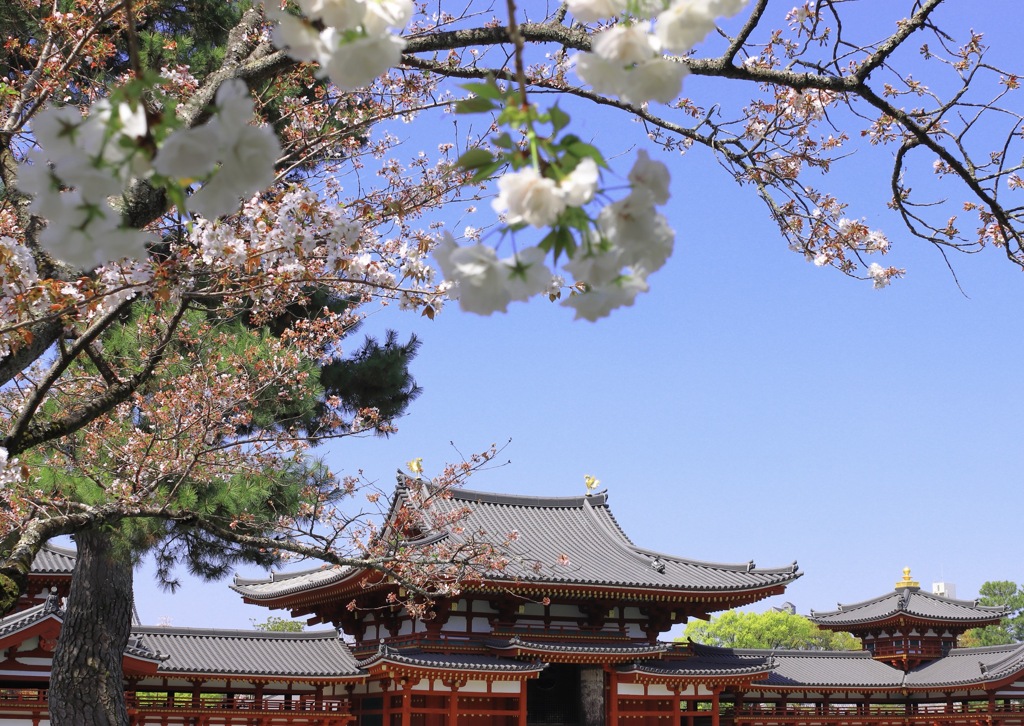 平等院鳳凰堂