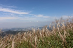 岩湧山より
