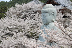 奈良　壷坂寺