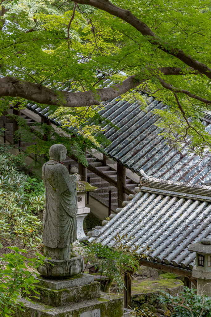 総本山長谷寺