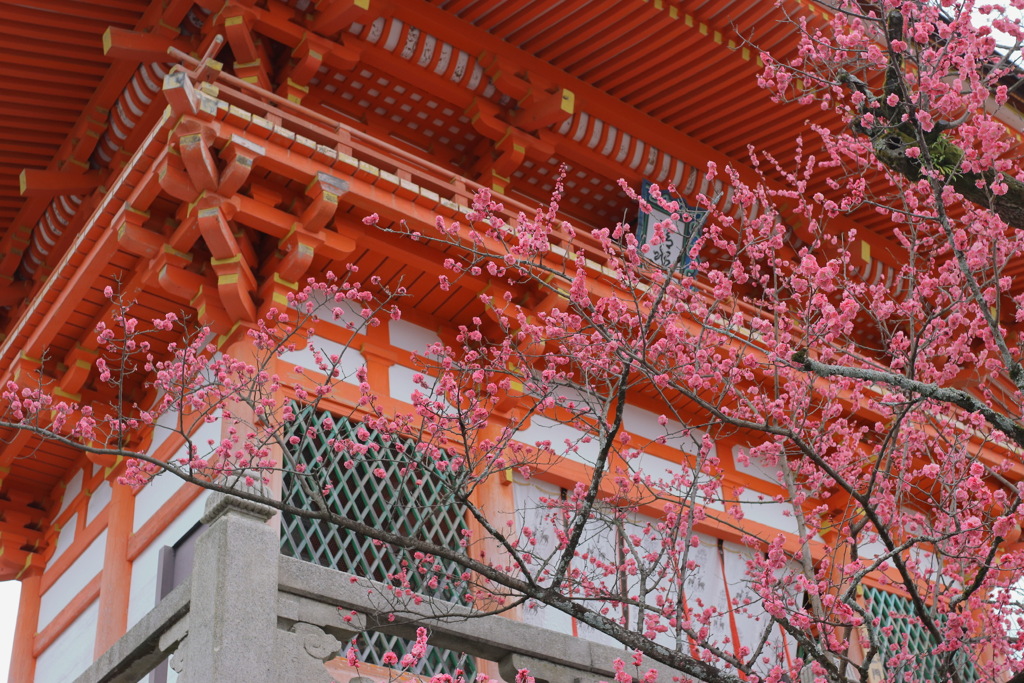清水寺