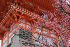 清水寺