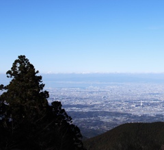 大阪平野