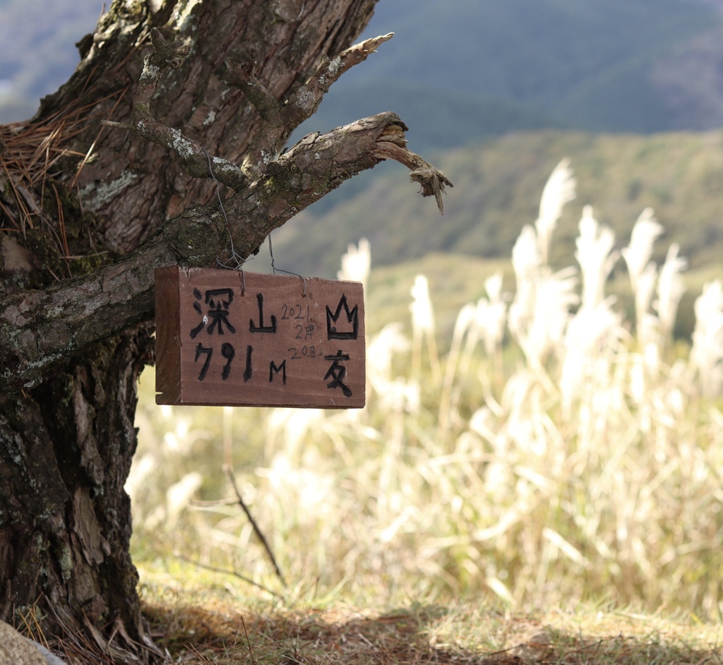 北摂　深山