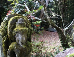 観心寺　河内長野市