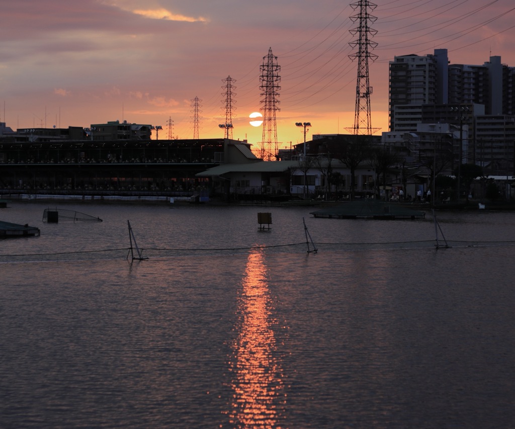 いつもの場所の夕陽です