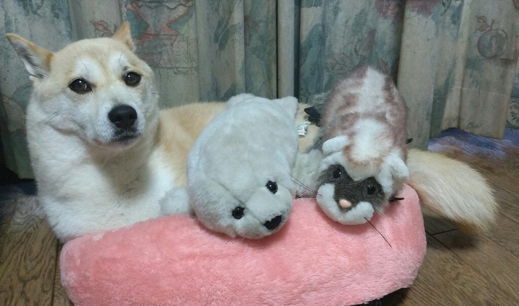 何だ何だ一！