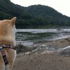 川は流れて～どこどこ行くの～♪
