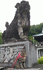 狛犬とニャン