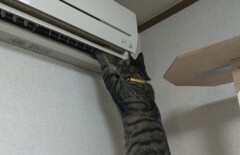 お掃除しようと！