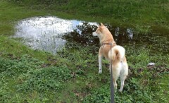 何だ～これは！