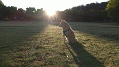 スポットライト