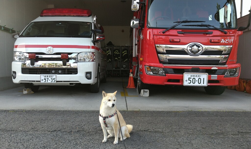 市民を守る紅白