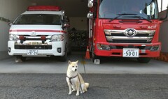 市民を守る紅白