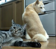 滑り込みセーフ
