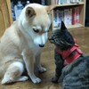 ひそひそ話！